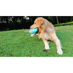 Dog Leakage Toy, Round Jar Bottle Shape Dog Chew Toys, Dogs Puppies Teething Clean Aggressive Chewer, Pets Safe Bite Chew Toys